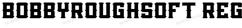 BOBBYROUGHSOFT REGUL字体转换